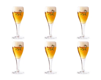 Brugse Zot Glas (6x 33cl)