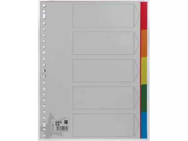 STAR-Tabs ft A4, 23-Loch-Perforation (5 Tabs)