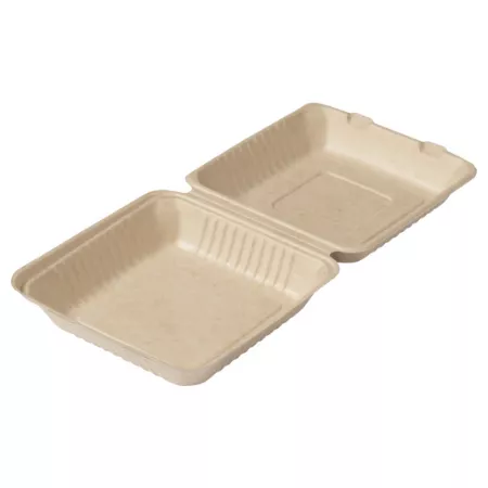 Biodore Zuckerrohrmark-Menübox 1 Fach 230x230x80mm (50 Stück)