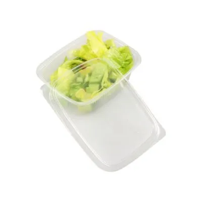 Plastic bakje rechthoek 250 cc + deksel (250 stuks)