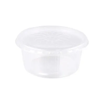 Plastic bak + deksel helder (250x 250cc)