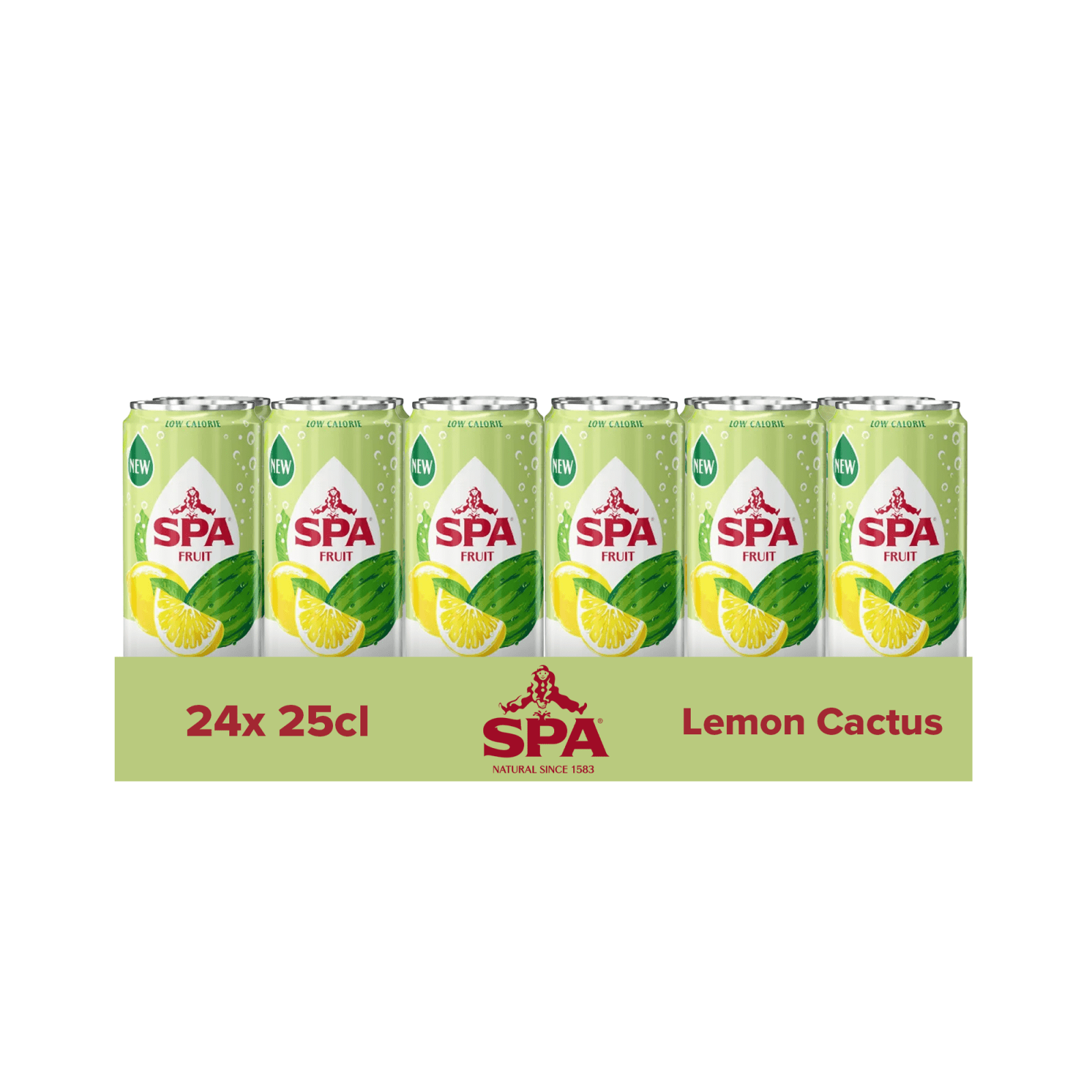 Spa Fruit Sparkling Lemon Cactus Dose (24x 25cl) - Grohandel Compliment.nl