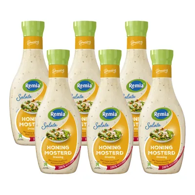 Remia Salata Honing Mosterd (6x 450ml)