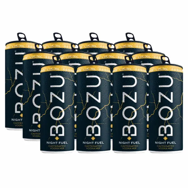 Bozu Night Fuel Vodka Energy (12x25cl)