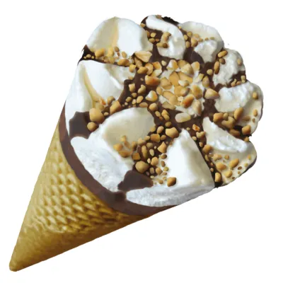 Domini ijsje classic voorkant vanille chocolade