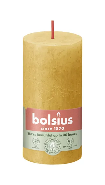 Bolsius rustiek stompkaars 100/50 honey yellow a8