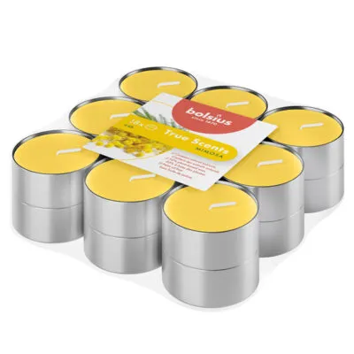 Bolsius Geurtheelichten True Scents Mimosa Ø38/18 mm 4 uur (8x 18 stuks)
