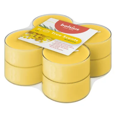 Bolsius Maxilichten True Scents Mimosa A6 Ø58/24 mm 8 uur (6x 8 stuks)