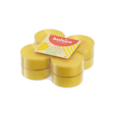 Bolsius Geurtheelichten True Citronella Ø58 mm 8 uur (6 stuks)