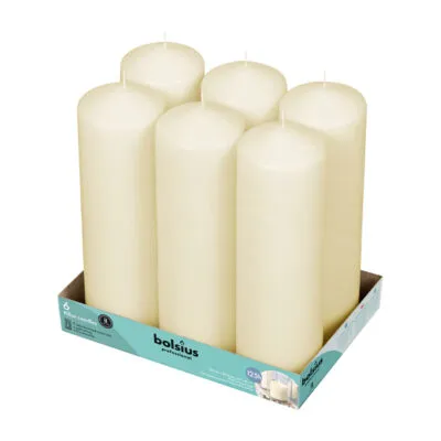 Bolsius Professional Stompkaarsen 25/8 cm Ivoor 122 Branduren (6 stuks)
