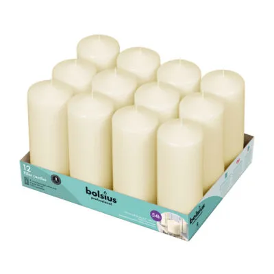 Bolsius Professional Stompkaarsen Ivoor 17/6 cm 49 Branduren (12 stuks)
